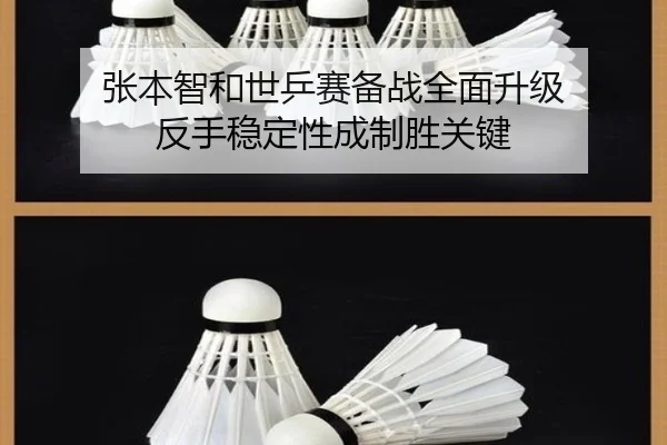 张本智和世乒赛备战全面升级 反手稳定性成制胜关键